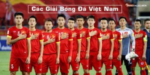 các giải bóng đá Việt Nam