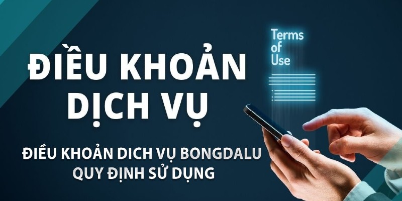 Điều khoản dịch vụ tổng hợp