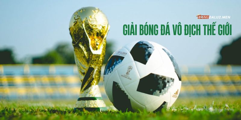 Giải bóng đá vô địch thế giới