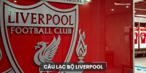 Câu lạc bộ Liverpool