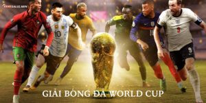 Giải bóng đá World Cup